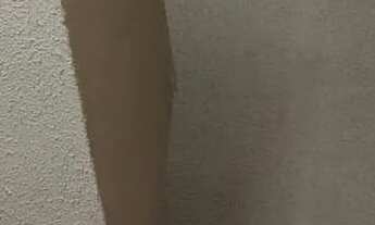 Imagem 7: Locação carnaval