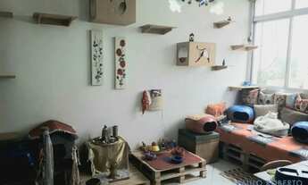 Imagem 5: APARTAMENTO - BELA VISTA - SP