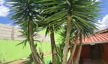 Imagem 2: Chácara para venda no Cajuru em Pouso Alegre - MG