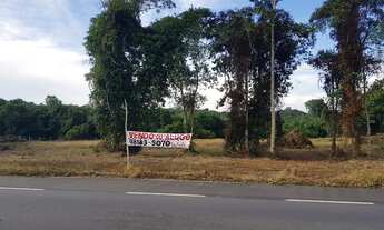 Imagem 6: Rodovia Am 070 - Manoel Urbano