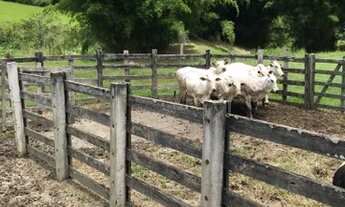 Imagem 3: Linda fazenda na região de Caxambu MG