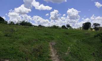 Imagem 4: Fazenda Fazendinha 19 Hectares, 16 Hectares. FLORESTA MG