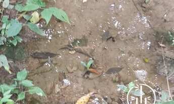 Imagem 3: Chácara Vista Pé de Serra