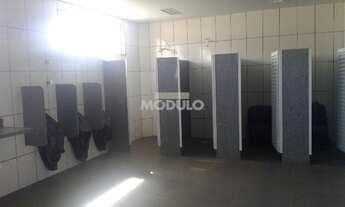 Imagem 4: Aluguel Barracão SAO JOAO