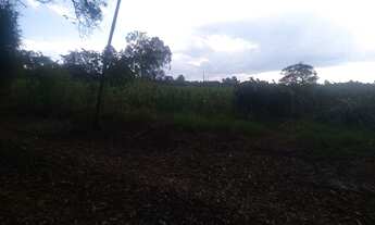 Imagem 3: MATEUS LEME - SERRA AZUL