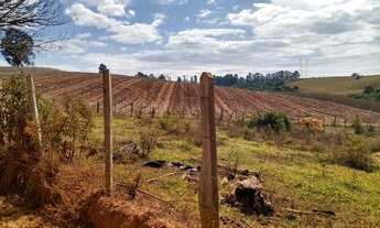 Imagem 5: Lote/Terreno para venda tem 100 metros quadrados em Faisqueira - Pouso Alegre - MG