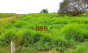 Imagem 4: Fazenda de 751 alqueires 80km de Marabá - Pará