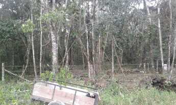 Imagem 5: Terreno em área retro portuária