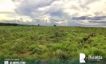 Imagem 6: Ótima oportunidade de fazenda para agricultura na região de Aparecida do Rio Negro - TO