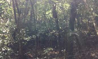 Imagem 7: Terreno no bairro Vale do Ipê Amarelo