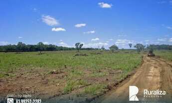 Imagem 7: Ótima oportunidade de fazenda para agricultura na região de Aparecida do Rio Negro - TO