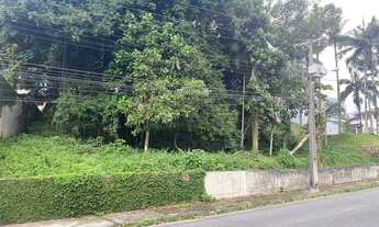 Imagem 3: TERRENO no ANITA GARIBALDI com 0 quartos para VENDA, 2978 m²