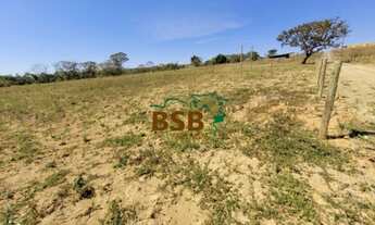 Imagem 2: Chácara de 20.000m² em Ponte Alta Norte - Brasília - DF