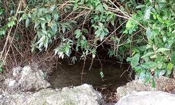 Imagem 2: Terreno em Bonfim/MG 2.5 Hectares ótimo cantinho na roça com agua corrente