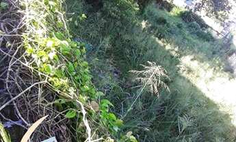 Imagem 3: Oportunidade compra de lote