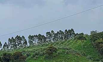 Imagem 4: TERRENO DE 20.000 MTS COM VISTA PANORÂMICA