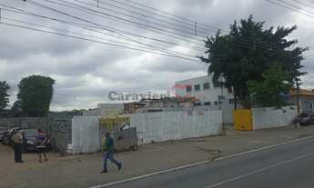 Imagem 2: São Paulo - Terreno Padrão - VILA NOVA MAZZEI