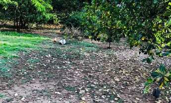 Imagem 2: Chácara em Bady Bassit 2.000m2