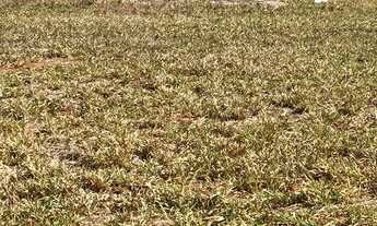 Imagem 2: Lote/Terreno para venda tem 250 m² no Residencial Lago Azul - Uberlândia - MG