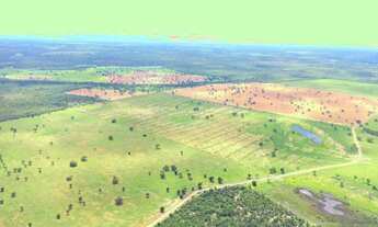 Imagem 7: Fazenda para Soja irrigada a venda em Posse - GO