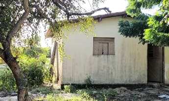 Imagem: Granjinha Lago azul