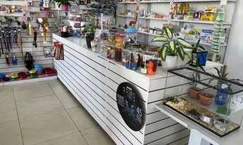 Imagem 4: Vendo agropecuária em Navegantes