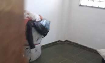 Imagem 6: Agio de casa Casa com 2 dormitórios