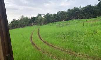 Imagem 4: Vendo chácara em tartaurugalzinho