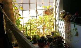 Imagem 5: CASA EM LOTE INTEIRO NO MELHOR DO JARDIM ESTER