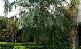 Imagem 11: Apartamento em Centro Histórico