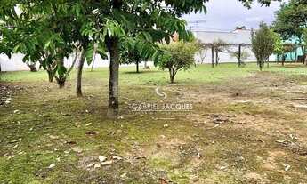 Imagem 3: Terreno para alugar, 1.153,64 m² por R$ 3.800/mês - Centro - Palhoça/SC