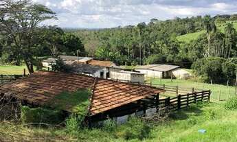 Imagem: Fazenda 19 Alqueires Zona Rural - Abadiânia