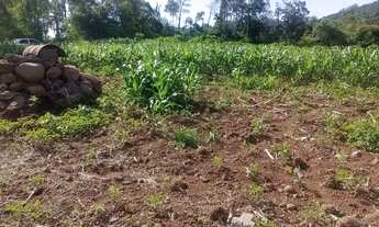 Imagem 4: Área de terras em Bom Principio