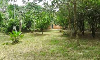 Imagem 2: Terreno em Mosqueiro