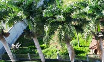 Imagem 2: Lote Terreno a venda com poço artesiano 694 metros quadrados em Goianira - GO. Oportunidad