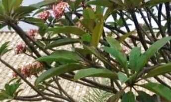 Imagem 4: Sitio em estilo rústico em lote de 2.070m², em condomínio com portaria 24h, Jaboticatubas