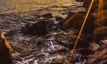 Imagem 7: Oportunidade para você que sonha em morar no Litoral Catarinense! Casa a 600m da Praia de