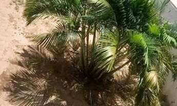 Imagem: CASA RESIDENCIAL