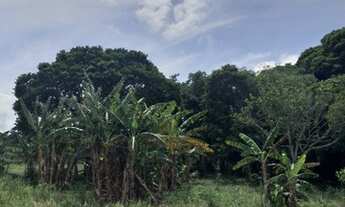 Imagem 5: SITIO NA CIDADE DE SÃO BENEDITO