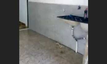 Imagem 2: Excelente casa de frente dois quartos quadra 315