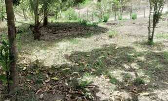 Imagem: Venda ou troca