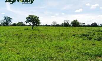 Imagem: Fazenda em Tocantins