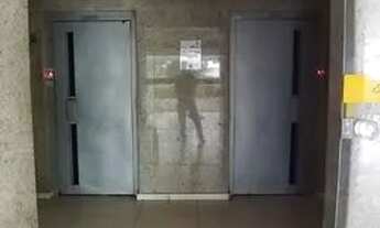 Imagem 3: Alugo Apartamento no Imbui de 1/4 sala, cozinha, área de serviço, banheiro