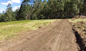 Imagem 3: 38 lotes Pousada do Conde