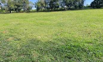 Imagem 4: Chácara de 3 mil metros só de terra a venda em Jacutinga _Minas Gerais