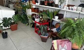 Imagem 3: Vendo agropecuária em Navegantes