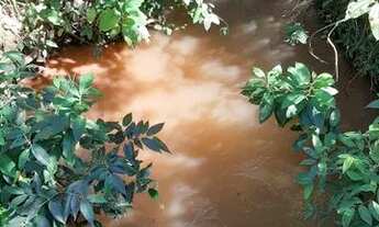 Imagem 2: Fazenda 1000 hecteares Pecuária