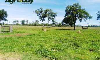 Imagem 4: Fazenda em Tocantins