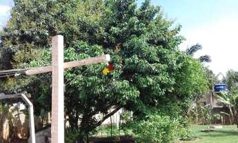 Imagem 4: Chácara com 2 dormitórios à venda, 1200 m² por R$ 560.000,00 - Jardim Monte Belo - Campina