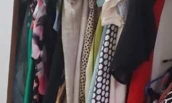 Imagem 3: A.Moura Gestor Imobiliario Vende Uma Excelente Casa na Marambaia I, Belém, Pa